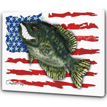 Load image into Gallery viewer, Angry Crappie fishing art with American flag ChipteeAmz's art Matte Canvas AT037