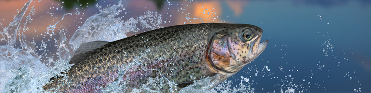 fishing bedding set