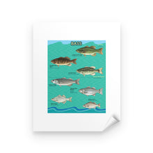 Load image into Gallery viewer, Bass fishing bass fish family Peel &amp; Stick Poster