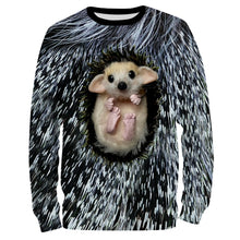 Load image into Gallery viewer, Porcupine 3D All over print shirts for men, women and Kid - TATS161
