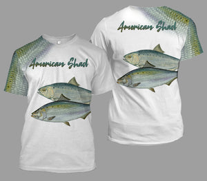 American shad fishing full printing